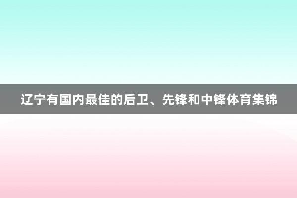 辽宁有国内最佳的后卫、先锋和中锋体育集锦