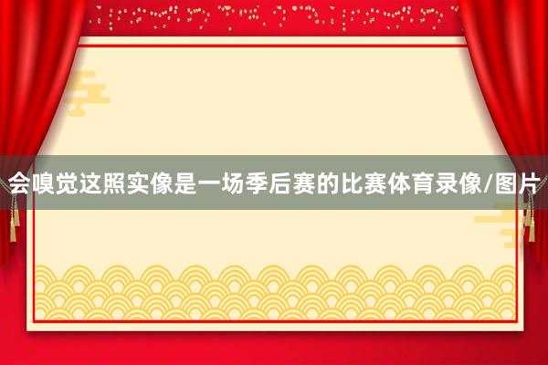 会嗅觉这照实像是一场季后赛的比赛体育录像/图片